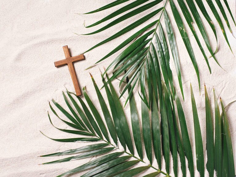 Reflection on the Last Week of Jesus: The Palm Sunday